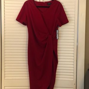 Brand new dress. Ready for the Holidays! Tahari 14